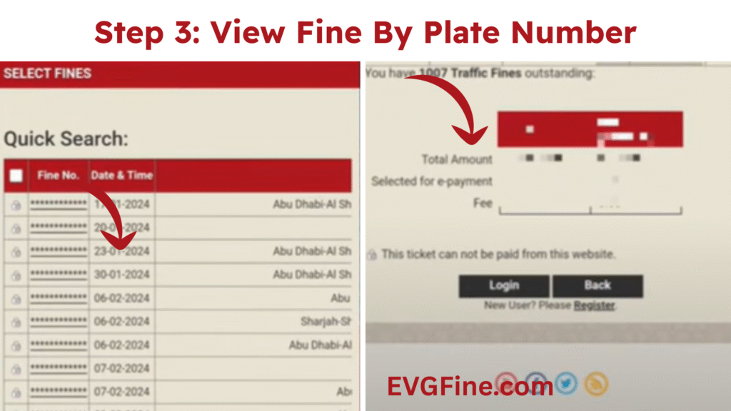 View Fine By Plate Number