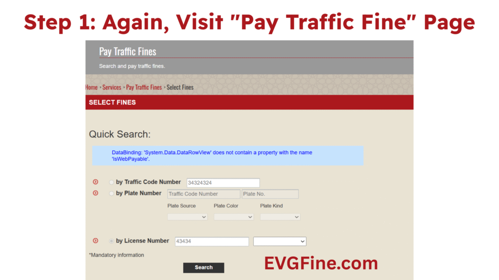 EVG Fine Check by Plate Number