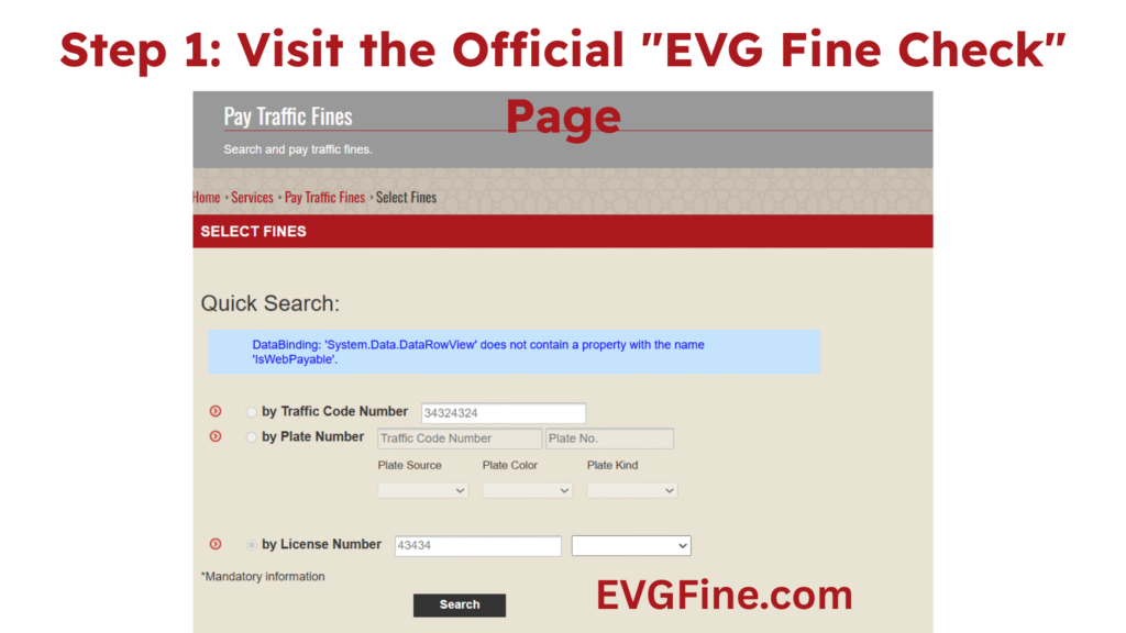 EVG Fine Check by License Number