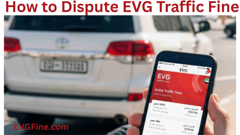 How to Dispute EVG Traffic Fine